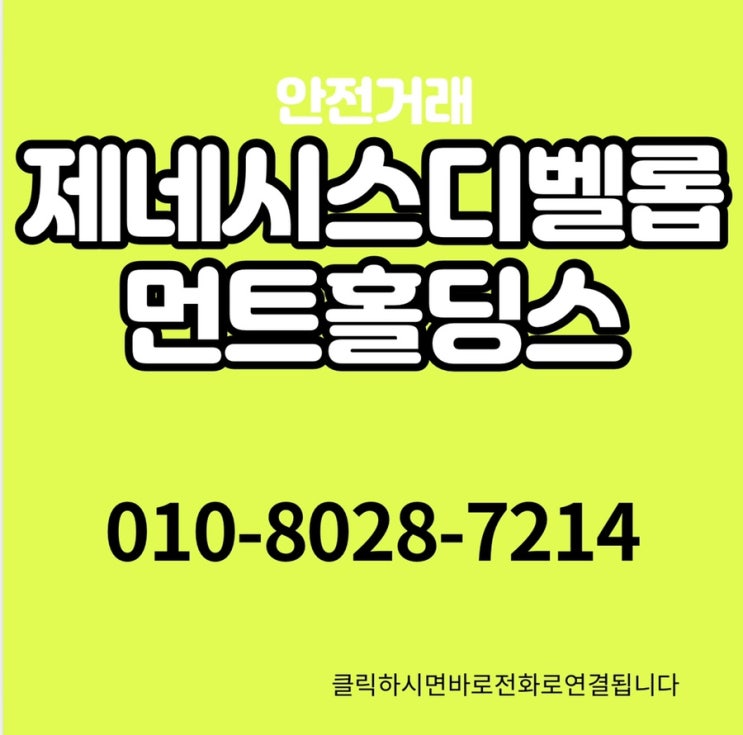  제네시스디벨롭먼트홀딩스