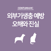  외부기생충 예방에 대한 오해와 진실