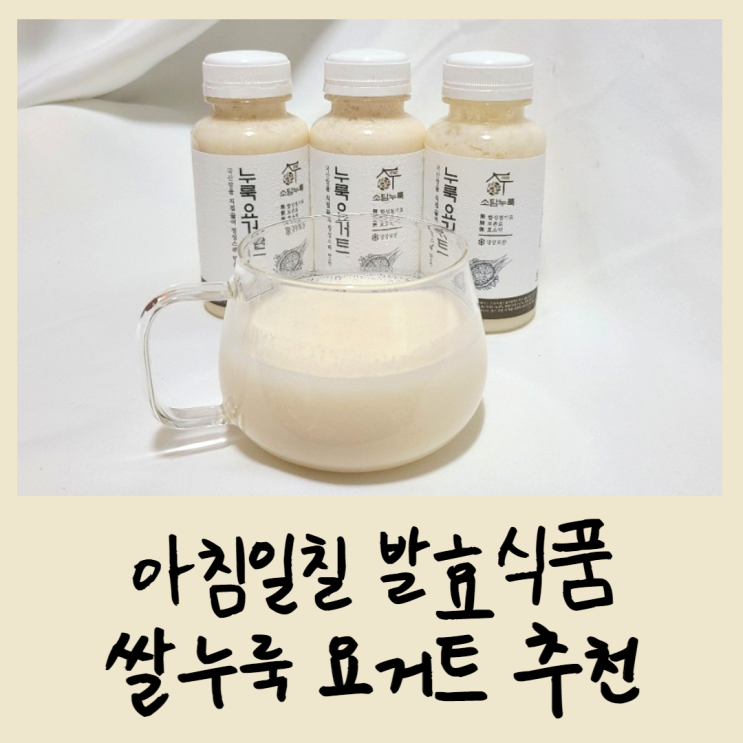  아침일칠 발효식품 쌀누룩 요거트 추천
