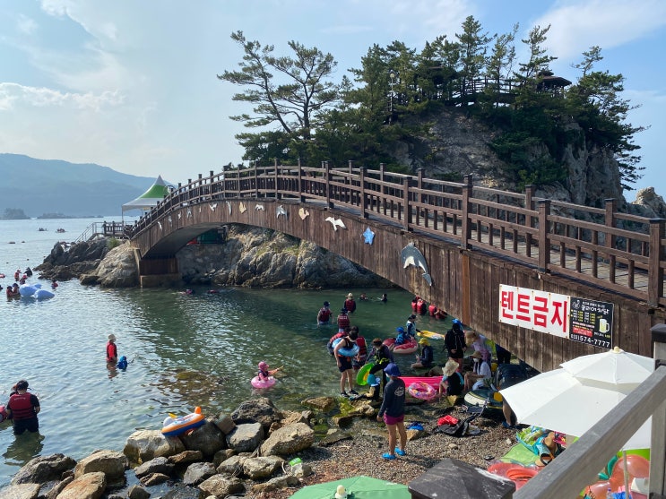  삼척 장호항 스노쿨링 자신있게 추천