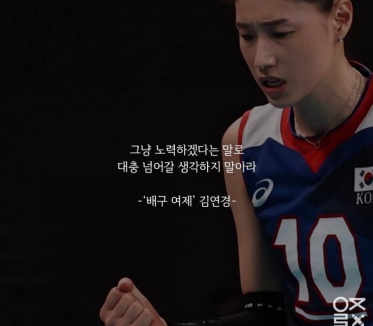  김연경짤 김희진짤 박정아짤 라바리니짤 배구짤