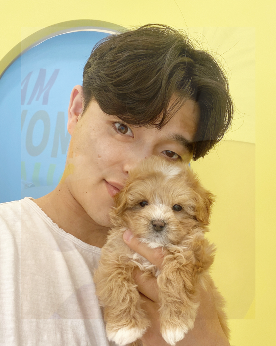  김해푸들분양 괜찮았어요