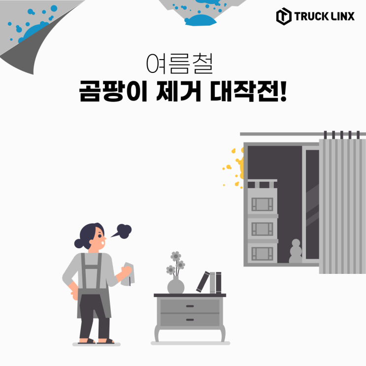  [여름 이사] 곰팡이 제거 대작전!