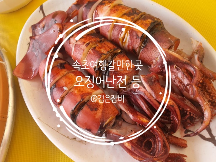  속초여행 갈만한 곳. 한번에 돌아보는 속초오징어난전과 영금정산책, 살롱드해변카페 그리고 붕어빵디저트.