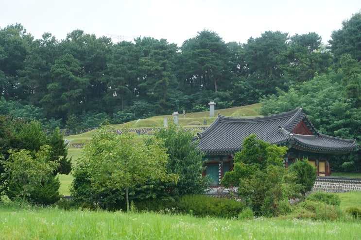  반남박씨묘역 경기도 화성 큰재봉공원