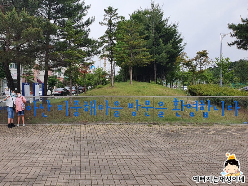 사진 3