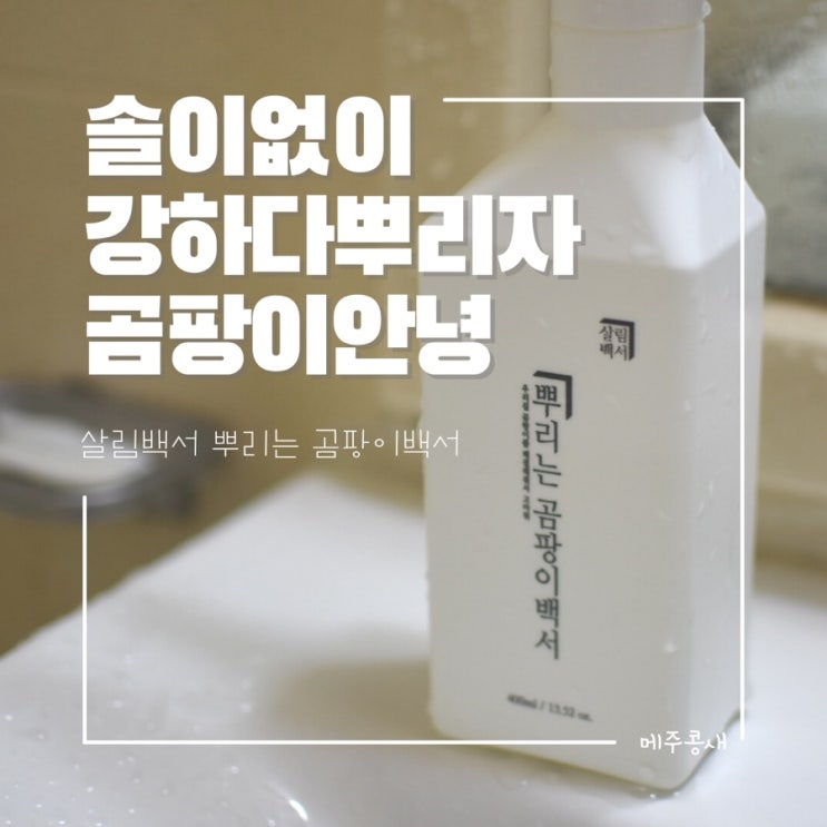  화장실 곰팡이 청소 너무 쉬워졌어요 / 살림백서 뿌리는 곰팡이 제거제