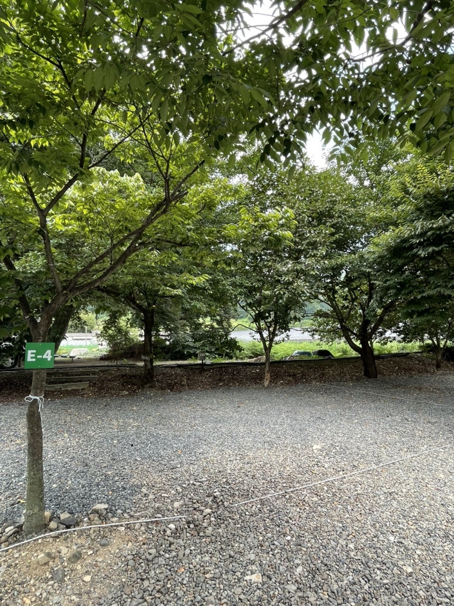 캔우드오토캠핑장 사진 5