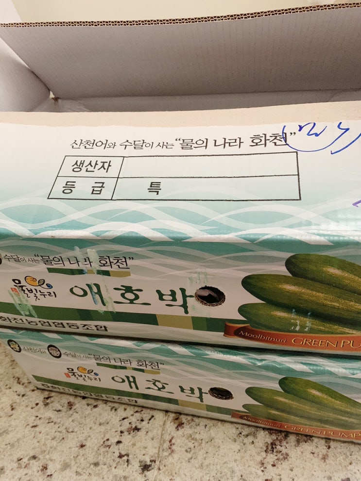  화천 애호박이 왔시유