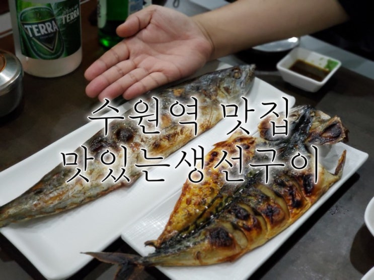 수원역 맛집 맛있는 생선구이 찐맛집 맞네요. 수원역 맛집 맛있는 생선구이 찐맛집 맞네요.