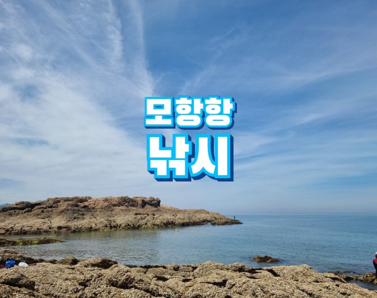  서해바다 태안 모항항 갯바위 낚시