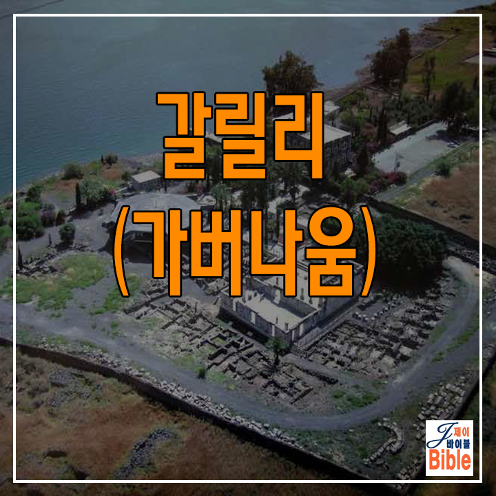  이스라엘 갈릴리 가버나움 (Capharnaum)
