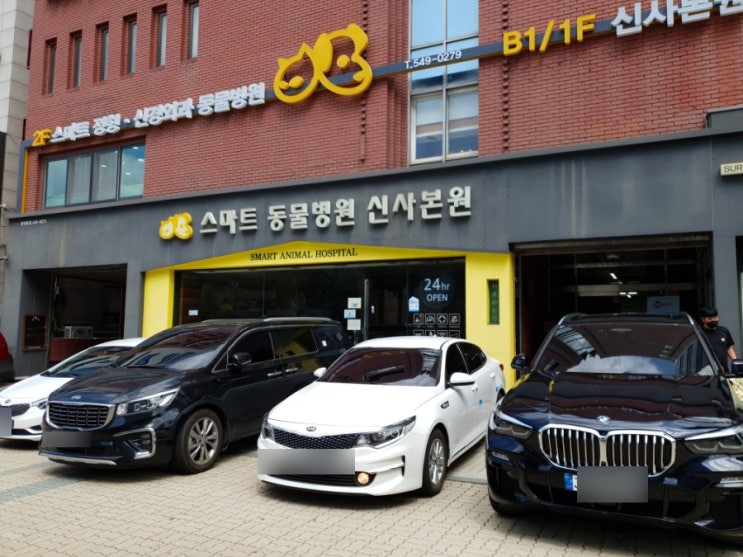  강아지 CT 찍을 때 유의사항 강단풍 기록지