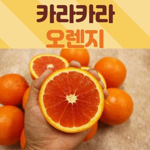 의외로 인기있는 미국산 고당도 카라카라 오렌지 과즙 팡팡 자몽을 닮은 제철 과일 2kg 4kg, 2kg (10과) 추천합니다