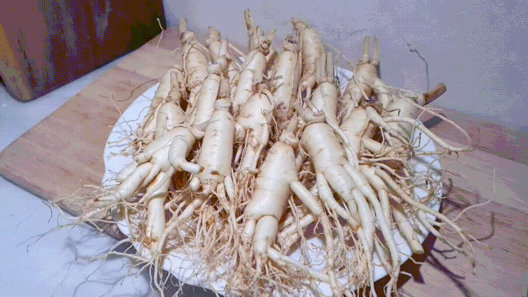 금산부부인삼 금산인삼 원수삼 먹어봤어요 금산부부인삼 금산인삼 원수삼 먹어봤어요