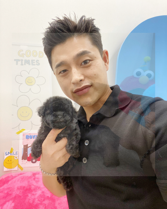  대구포메분양 받고 싶다면