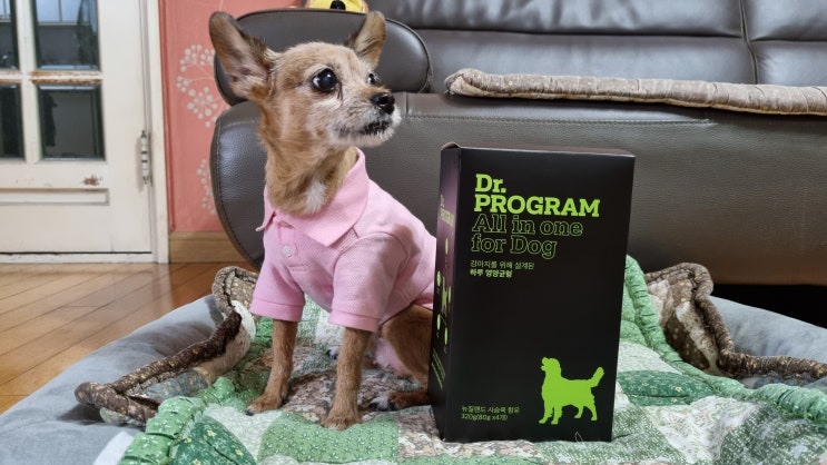 노령견을 위한 강아지영양제 펫프렌즈 닥터프로그램 올인원 추천 노령견을 위한 강아지영양제 펫프렌즈 닥터프로그램 올인원 추천