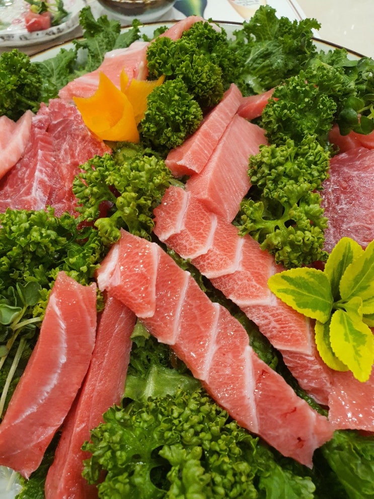  사조회참치 삼성역맛집 고급참다랑어 플렉스