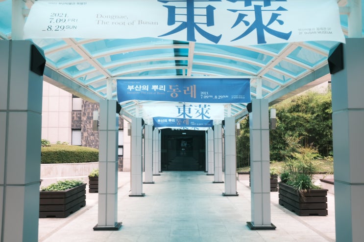  부산박물관 부산의 뿌리, 동래 특별 전시 보고 왔습니다