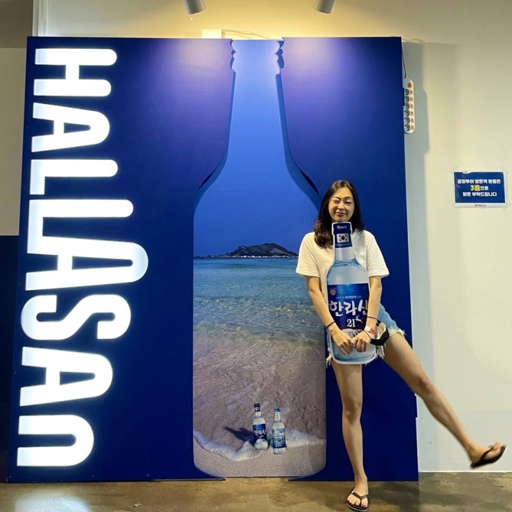  [한림/제주]비오는 날 가기 좋은 한라산 소주공장 투어 포토존&후기