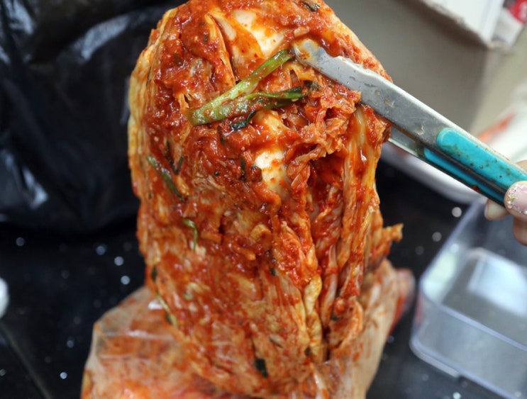  맛있는 배추김치 전라도 김치 쇼핑몰 모범김치 존맛탱이다