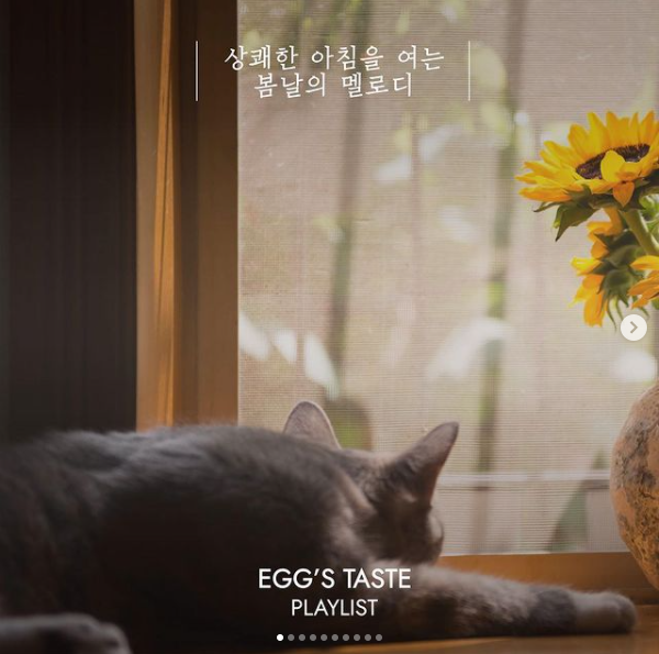  소확행-스탠딩 에그