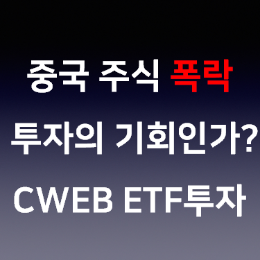 중국 기술주 폭락은 기회인가?  CWEB 투자