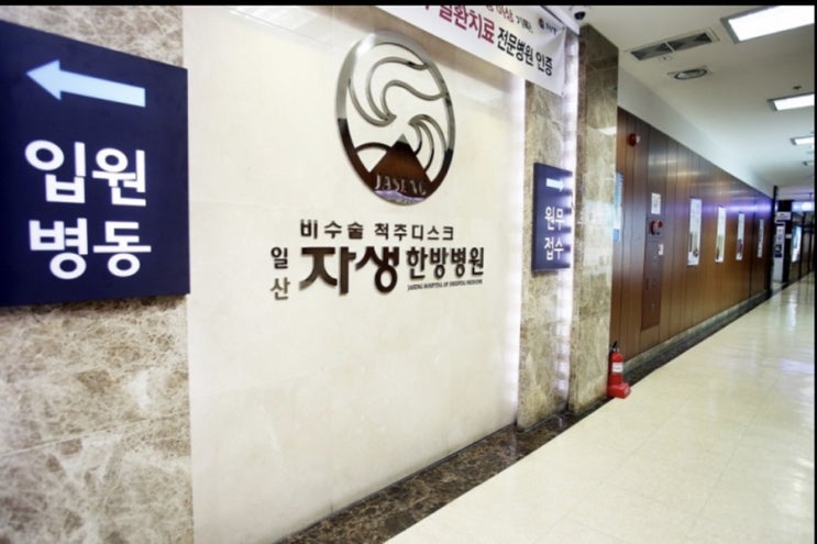  일산한방자생병원에서 추나치료, 침 치료 받았어요 | feat. 교통사고 대인접수, 가격