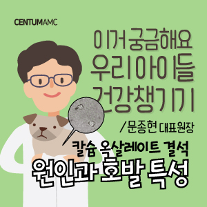  강아지 고양이 칼슘 옥살레이트 결석 원인과 호발특성 (부산 센텀동물메디컬센터 수의내과학박사 문종현 대표원장)