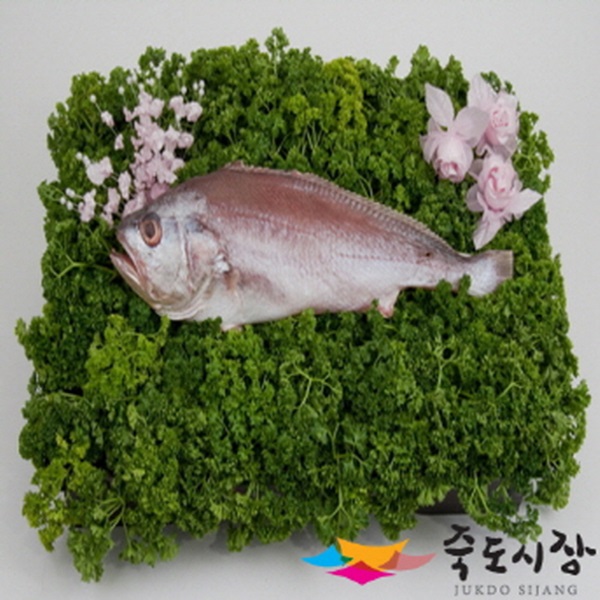 가성비 좋은 죽도시장 침조기(제수용)1미(33~35cm내외), 단품 추천해요