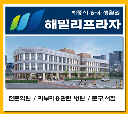  세종시6생활권 초,중,고 앞 해밀리 프라자 학원,병원,스크린골프 상가 분양및임대