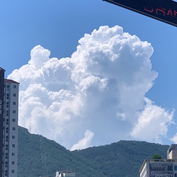 오랜만에 일상 ღ’ᴗ’ღ