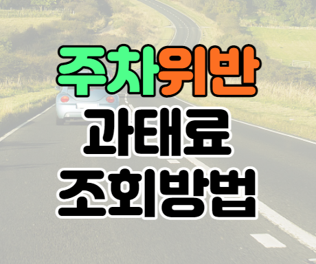주차위반 과태료 조회 차량번호 단속조회 사용방법 주차위반 과태료 조회 차량번호 단속조회 사용방법