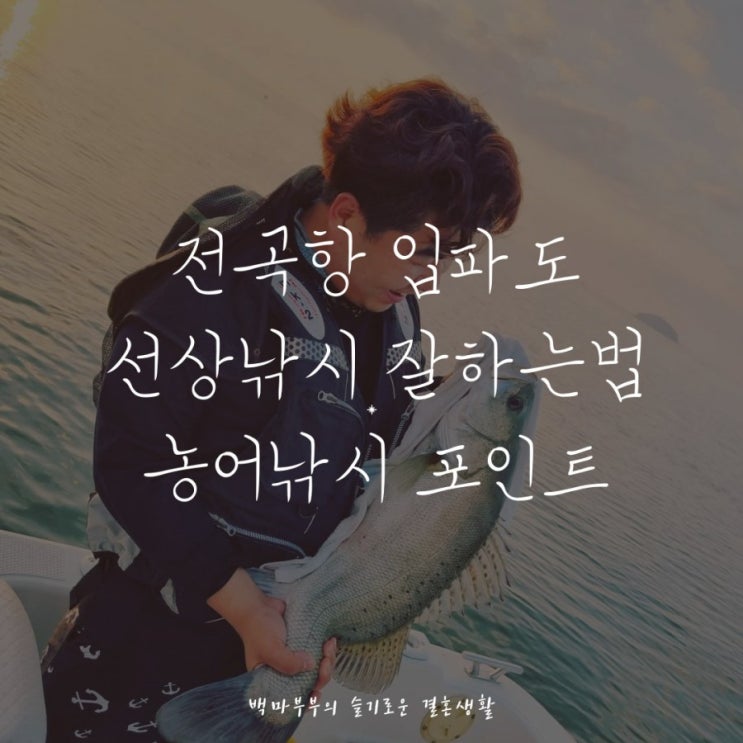  전곡항 입파도 8월 농어낚시 7짜농어잡았어요!!선상낚시잘하는법 낚시포인트