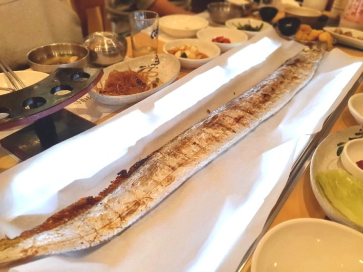  어서와~이렇게 큰 갈치는 처음이지? 제주 통갈치구이 맛집 춘심이네 본점
