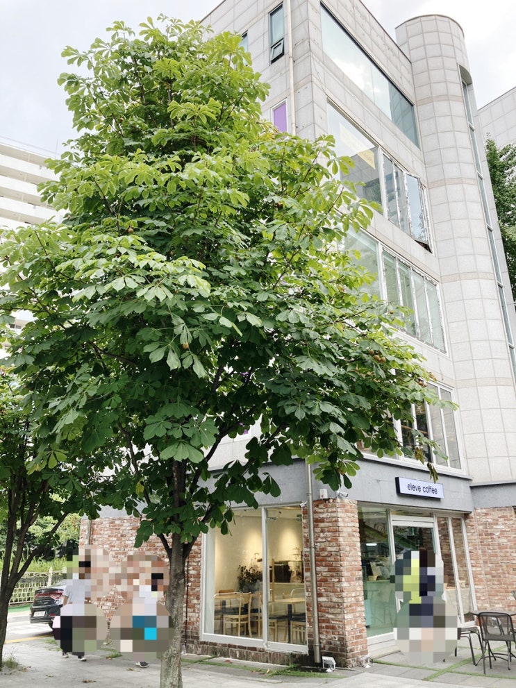  [일레브커피 eleve coffee]한성대 커피맛집,성신여대 커피맛집,동소문동 커피맛집,성신여대 블랜딩 커피맛집,성신여대 아이스아메리카노맛집
