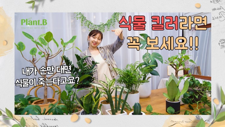  식물초보자가 집에서 키우기 쉬운 식물 베스트!!