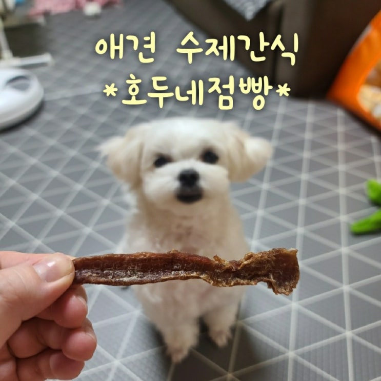  애견 수제간식 호두네점빵 / 닭가슴살 쳐키 댕댕이 최고 간식