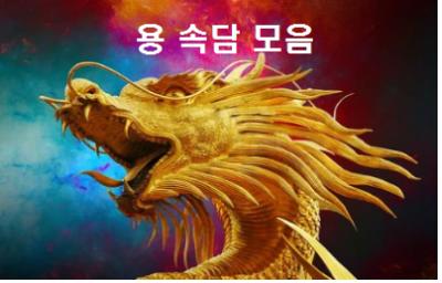  용 속담 모음