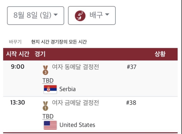  올림픽 배구 동메달 3-4위전 일정, 배구 용어(서브에이스, 리베로, 디그, 듀스, 페인트, 시간차공격, 레드 경고카드)