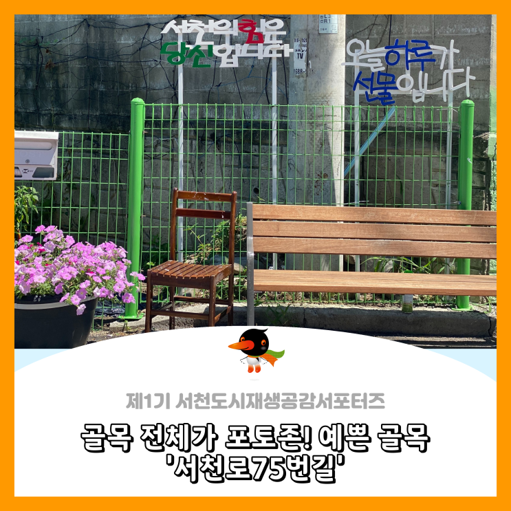  [서천군도시재생공감서포터즈단] 골목 전체가 포토존! 예쁜 골목 '서천로75번길'