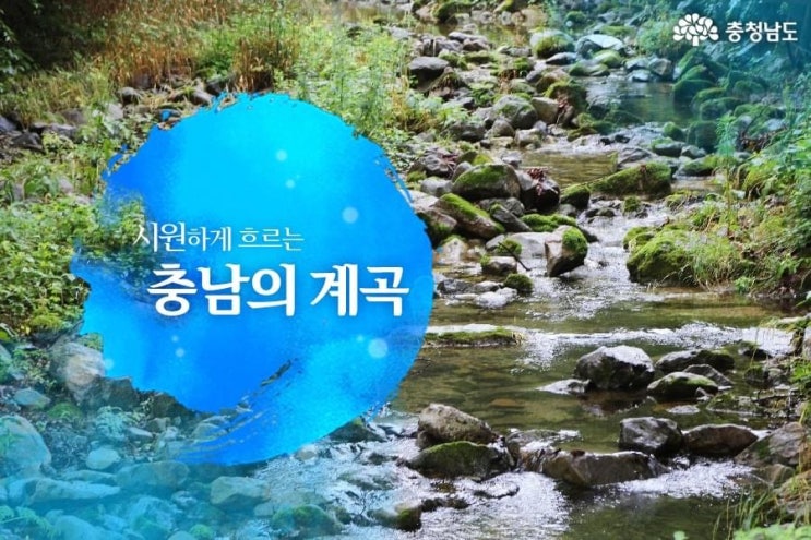 충남 가볼만한곳 시원하게 흐르는 충남의 계곡 | 충남도청페이스북