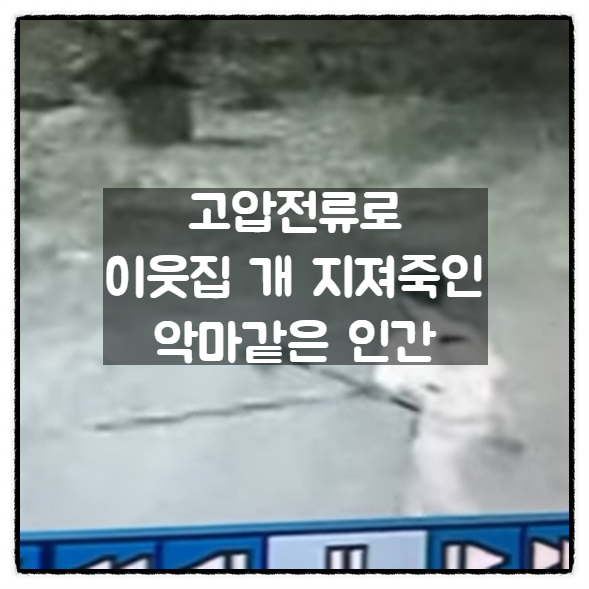 고압전류로 이웃집 개들을 지져죽인 악마같은 인간 고압전류로 이웃집 개들을 지져죽인 악마같은 인간