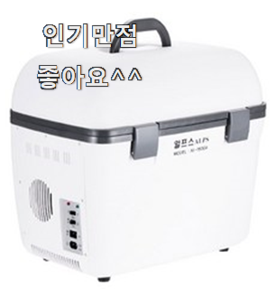  실속있는 전용냉장고 인기상품 리뷰 갖고싶어요.