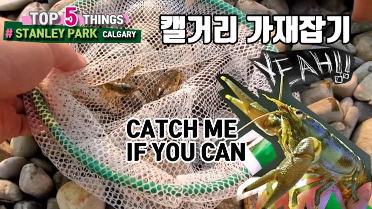  [STANLEY PARK] 캘거리에서 가재를 잡는다구? #캐나다여행 #캘거리놀곳 #스탠리파크