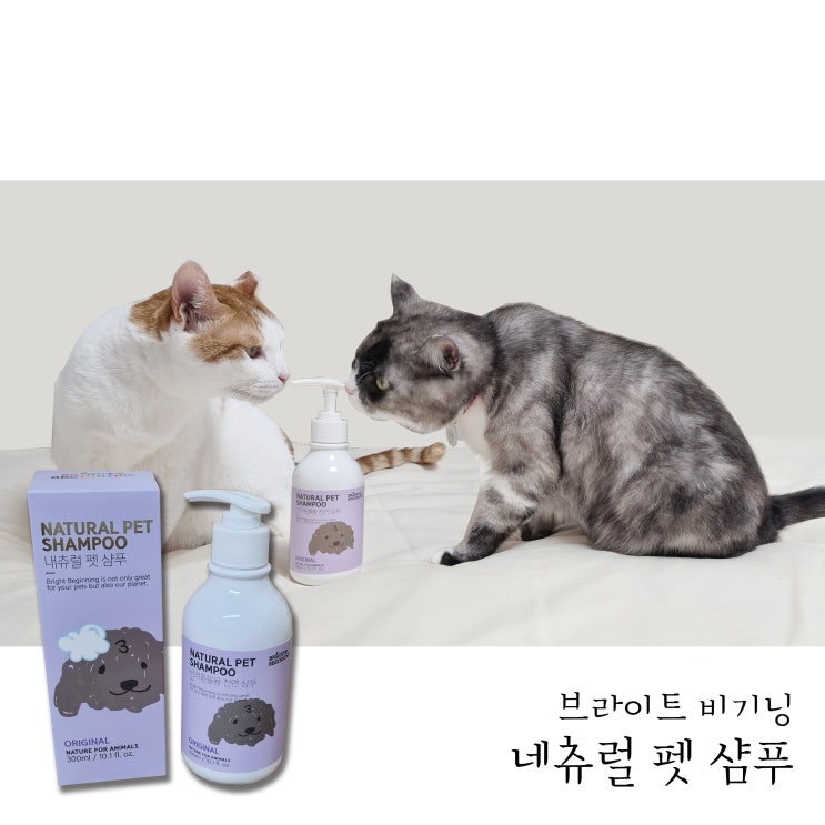 고양이샴푸추천 1년에 1번하는 고양이목욕은 천연발효 고양이샴푸로!