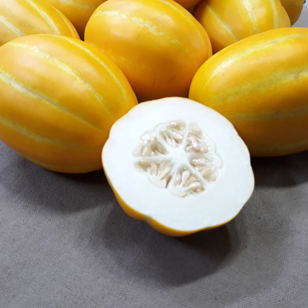 후기가 좋은 국내산 성주참외 1kg 2-3과내외 로얄과, 단품 추천합니다 후기가 좋은 국내산 성주참외 1kg 2-3과내외 로얄과, 단품 추천합니다