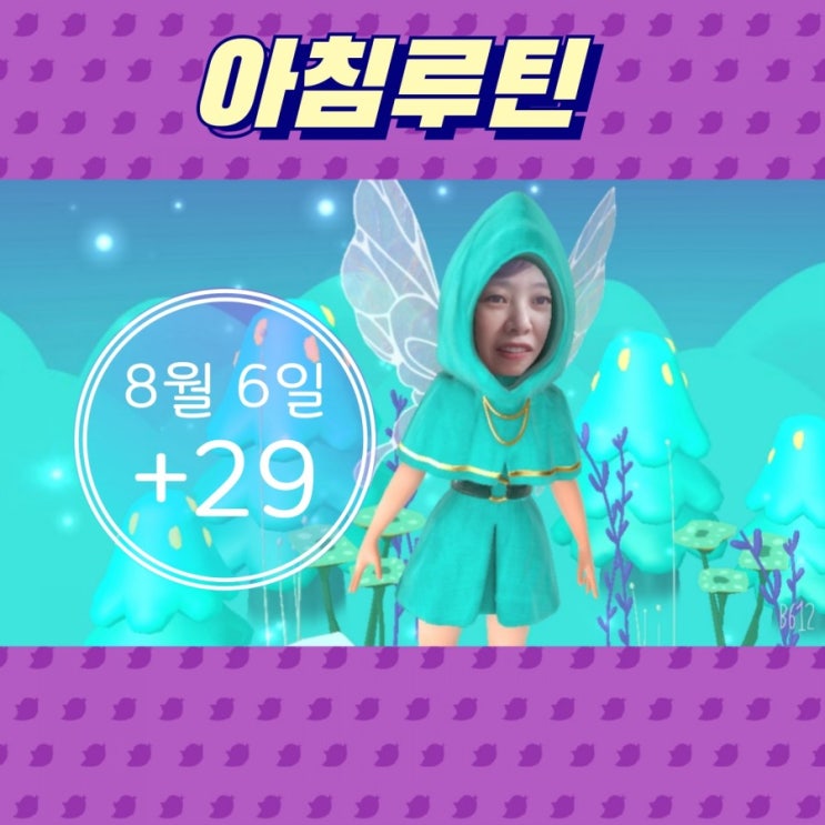  8월 6일 아침루틴