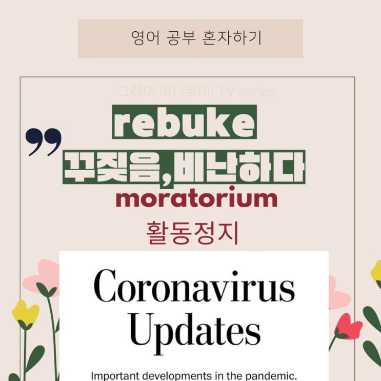  영어뉴스] rebuke(비난/꾸짖다),moratorium(시행정지)/델타 플러스 바이러스, 그리고 선진국들의 백신 부스터 시도