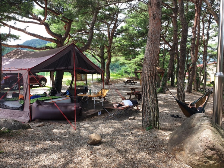  독고다이 나홀로 전세캠핑